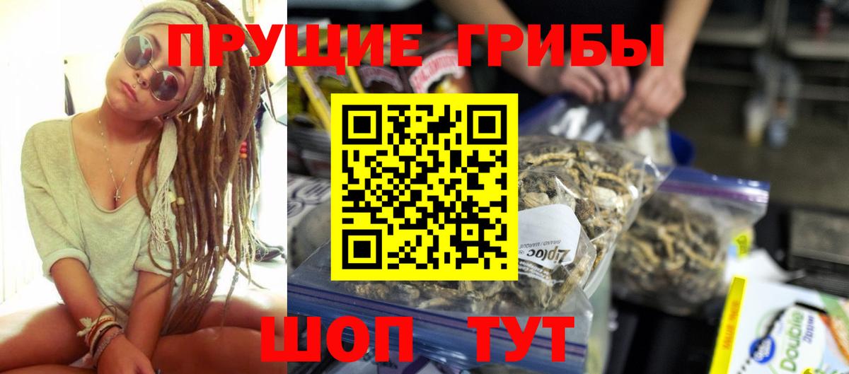 Псилоцибиновые грибы Psilocybine cubensis Орёл