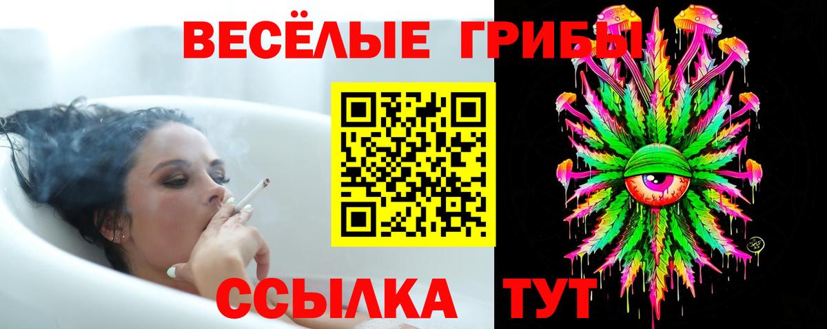 Орёл  Галлюциногенные грибы ЛСД  Вход с VPN 