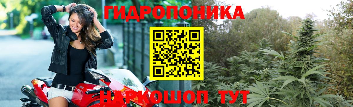Марихуана SATIVA & INDICA Орёл
